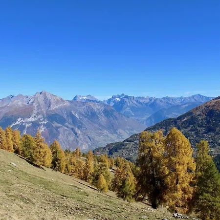 Pleasant Near Slope نينداز