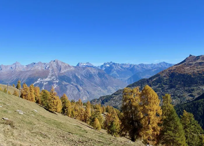 Pleasant Near Slope Nendaz